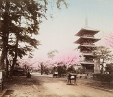 Выставка «Осторожно раскрашено»