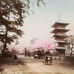 Выставка «Осторожно раскрашено»