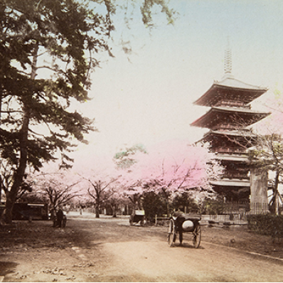 Выставка «Осторожно раскрашено»