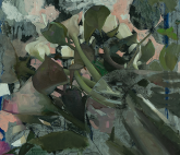 Выставка Лукаса Бонони «Природа света»