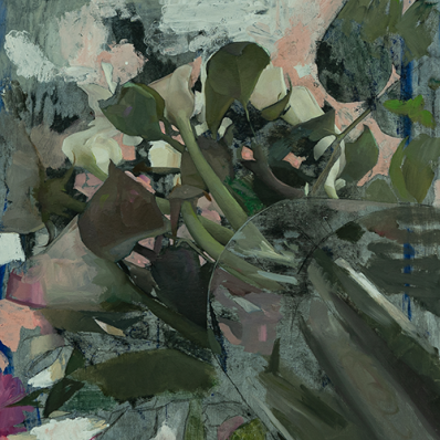 Выставка Лукаса Бонони «Природа света»