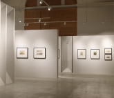 «Фотоискусство. От дагеротипа до искусственного интеллекта»