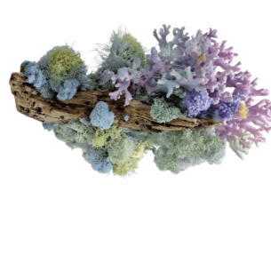 Шорт-лист премии в области современного искусства  SCAN AWARDS