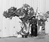 Проект «ЦВЕТОК ОСЕННИЙ. ВАДИМ СИДУР | ПОЛИНА РУКАВИЧКИНА»