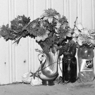 Проект «ЦВЕТОК ОСЕННИЙ. ВАДИМ СИДУР | ПОЛИНА РУКАВИЧКИНА»