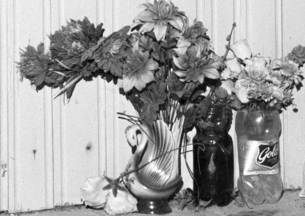 Проект «ЦВЕТОК ОСЕННИЙ. ВАДИМ СИДУР | ПОЛИНА РУКАВИЧКИНА»