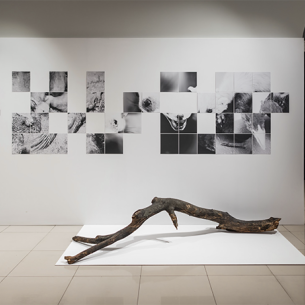 Премия SCAN AWARDS назвала главных художников и арт-проекты Сибири, Урала и Дальнего Востока