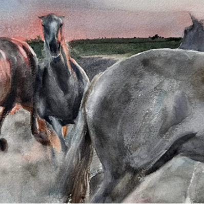 Галерея «Кони маслом»