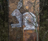 Персональная выставка художницы Екатерины Рожковой «Внутри и Снаружи»