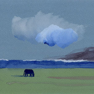 Проект «Облака и Горизонты» : живопись, графика, фотография, объекты, инсталляция