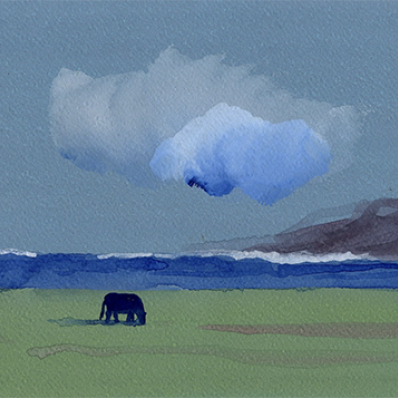 Проект «Облака и Горизонты» : живопись, графика, фотография, объекты, инсталляция