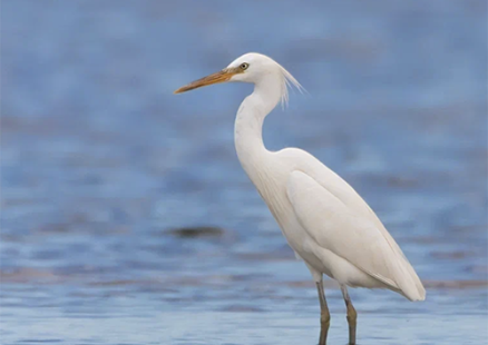 XIII Общероссийский фестиваль природы «Первозданная Россия»