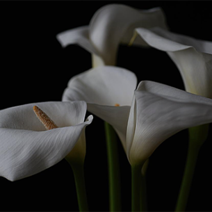 13 новых выставок современного искусства в пространстве арт-платформы Cube.Moscow