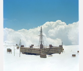 Выставка Влада Третьяка «День сурка»