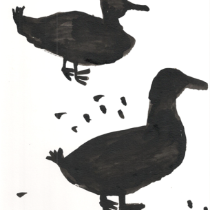 Выставка Давида Тер-Оганьяна и Сергея Скутару «Отражение»