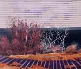 Выставка Владимира Мигачёва «Не зеркало, но след»