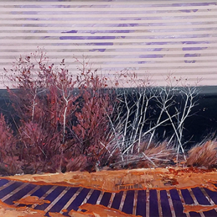 Выставка Владимира Мигачёва «Не зеркало, но след»