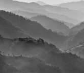 Персональная выставка Александра Дымникова «Люди. Земля. Вода»