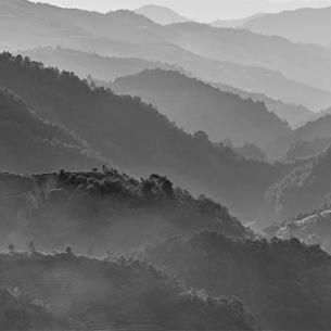 Персональная выставка Александра Дымникова «Люди. Земля. Вода»