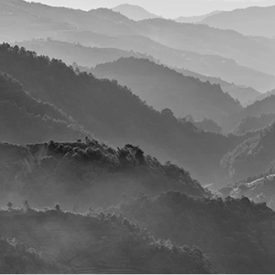 Персональная выставка Александра Дымникова «Люди. Земля. Вода»