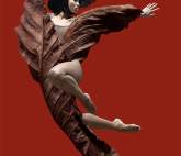 Персональная выставка Rust2D «ГЕРБАРИУМ»