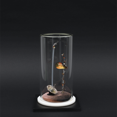 Персональная выставка Алены Каляновой «KS-250388»