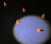 Выставка «У нас отобрали джунгли»