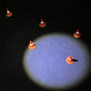 Выставка «У нас отобрали джунгли»