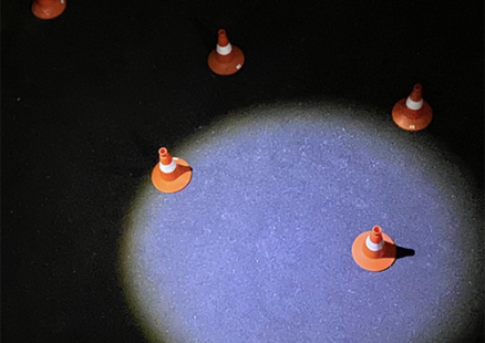 Выставка «У нас отобрали джунгли»