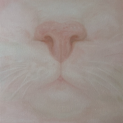 PAWS COMMS x Set Projects: «Выставка кошек»