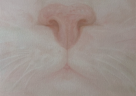 PAWS COMMS x Set Projects: «Выставка кошек»