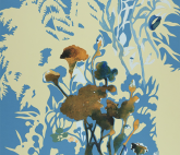 Выставка Оксаны Шуайбовой «Слои: Следы естественных мерцаний»