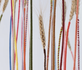 Выставочный проект «Мнемография личного»