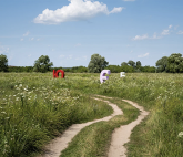 Александр Гронский «Здесь что-то происходит»