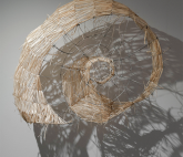 Выставка «Границы возраста