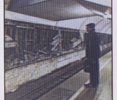 Персональная выставка Веры Лапонкиной «Структуры»