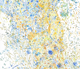 Выставка Елизаветы Вербицкой «Огненная река, Лавр и лимонник»