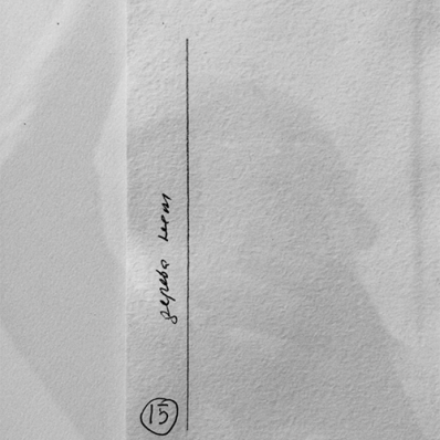 Выставка Тины Шибаловой «Метод обнаружения»