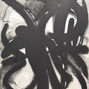 Выставка Натальи Ситниковой «Биология»