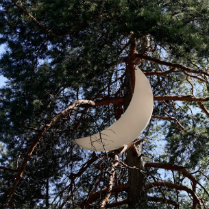 Арт Сафари 2026: WE LODGE × pop/off/art × ARTZIP
