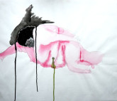 Ирина Петракова. Проявляется исчезновением