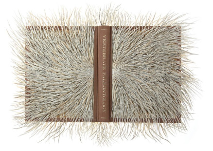 Либо мир переполнен мусором, либо нашими воспоминаниями