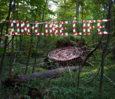 Мастерская 20’20. Homo Communicans