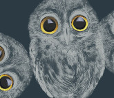 «Ночь в музее 2022» в Музее Москвы и филиалах