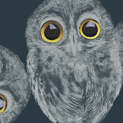 «Ночь в музее 2022» в Музее Москвы и филиалах