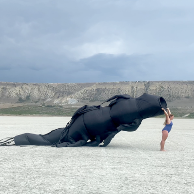 Новая кожа: миф технологического тела