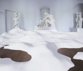 Политика снега