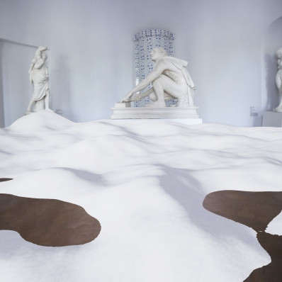 Политика снега