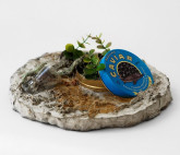 Саша Нестёркина. Weltschmerz