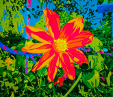 Увеличение или blow up